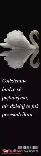 Zakładka do książki. Codziennie budzę się piękniejsza... - Papiernicze i szkolne