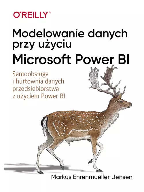 Modelowanie danych przy użyciu Microsoft Power BI - Książki