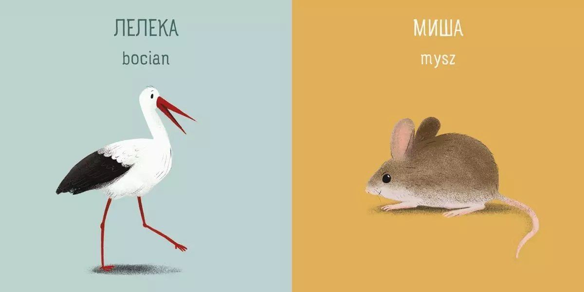Мої перші слова / Moje pierwsze słowa - Książki