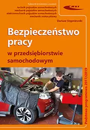 Bezpieczeństwo pracy w przedsiębiorstwie samochodowym - Książki