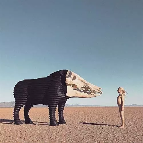 Dream Hunting In The Valley Of The In-Between Colored LP. Winyl - Muzyka