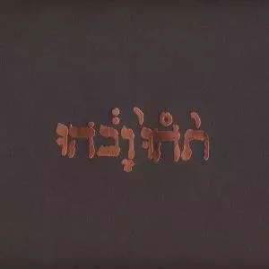 Slow Riot For New Zero Ka. Winyl - Muzyka