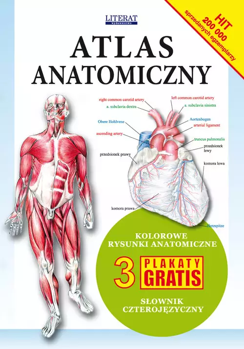 Atlas anatomiczny - Książki