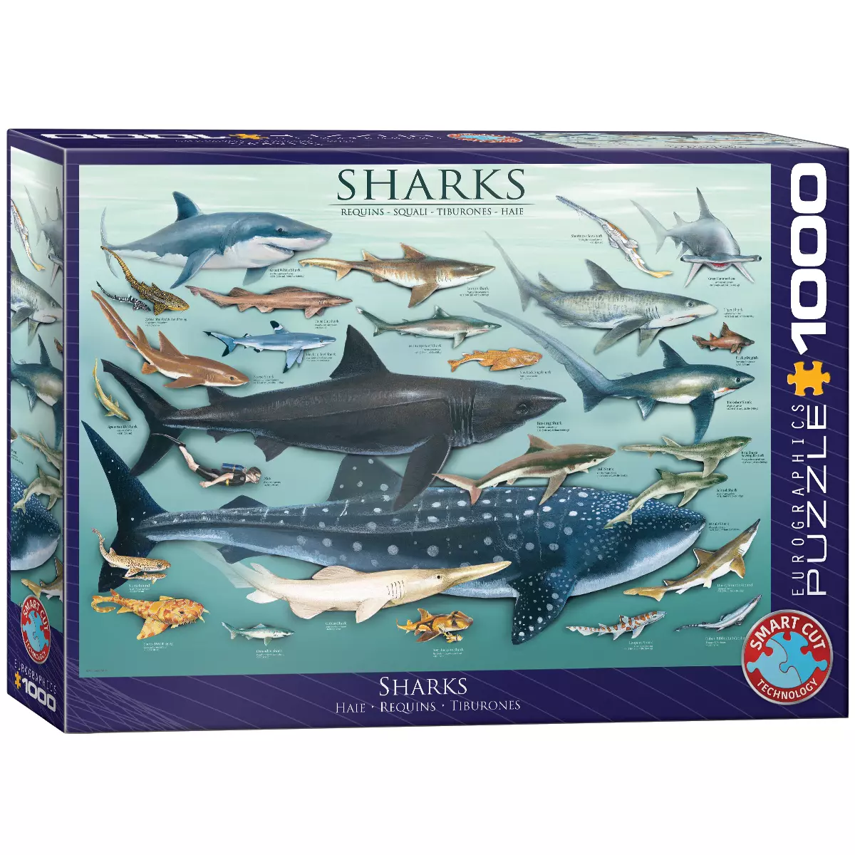 Puzzle 1000 Rekiny 6000-0079 - Puzzle