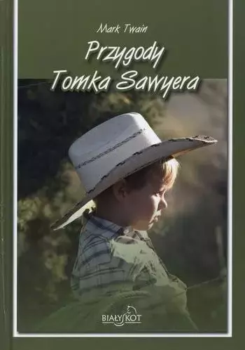 Przygody Tomka Sawyera - Książki