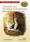 Cierpienia młodego Wertera. Audiobook - Audiobooki