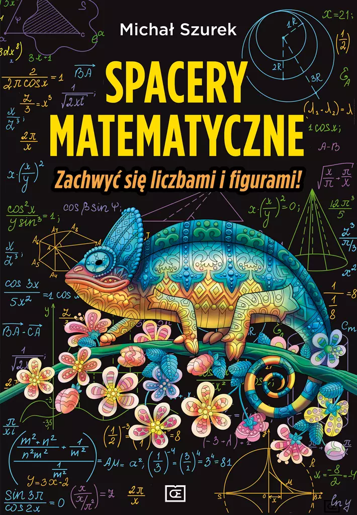 Spacery matematyczne. Zachwyć się liczbami i figurami! - Książki