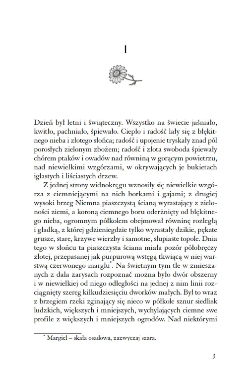 Nad Niemnem - Książki