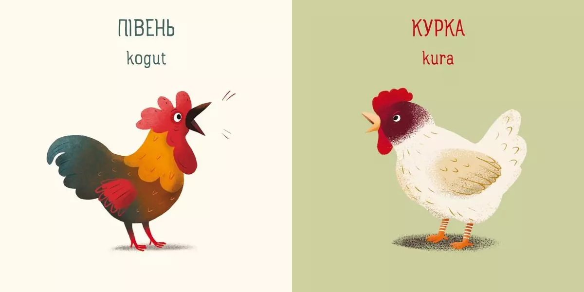Мої перші слова / Moje pierwsze słowa - Książki