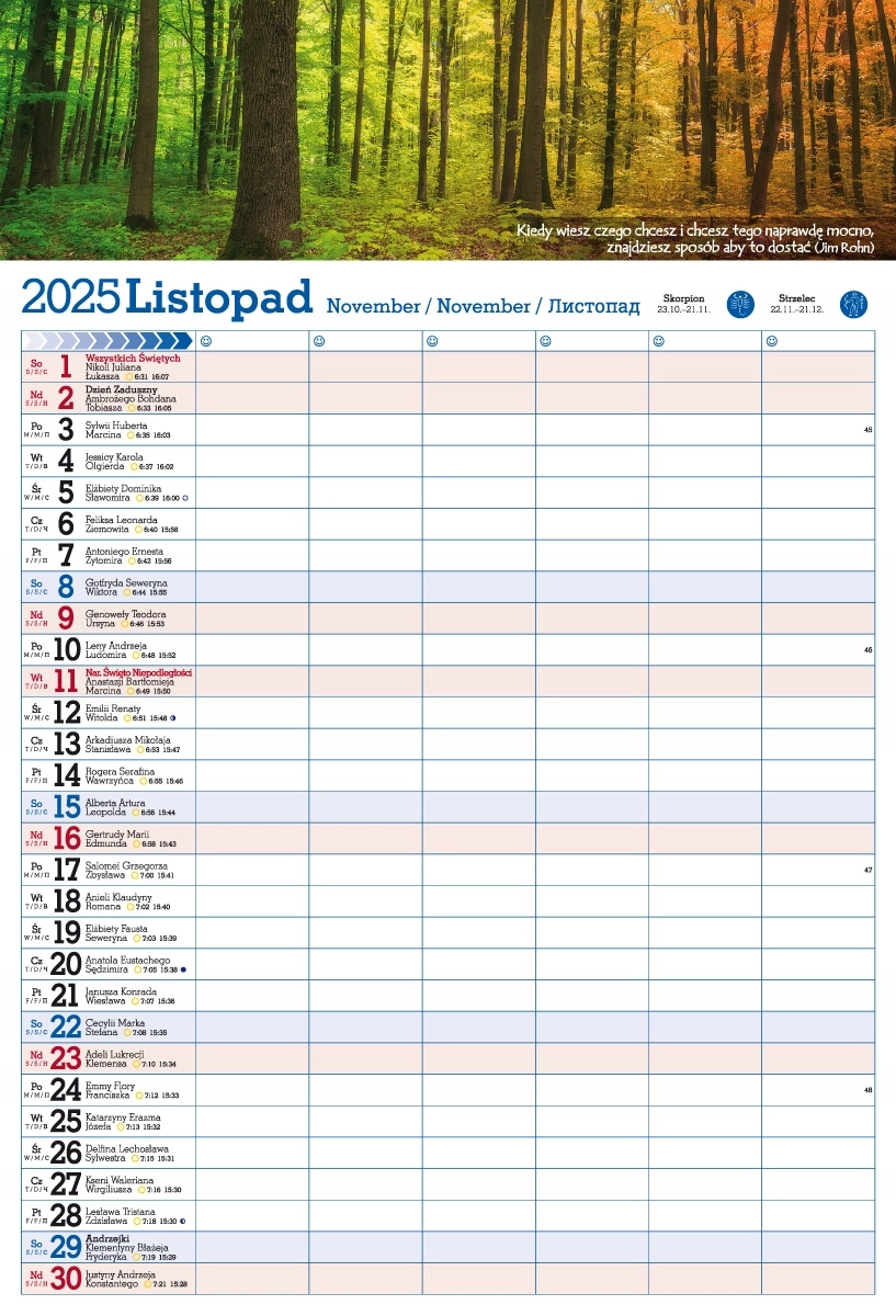 Kalendarz 2025 PLANER ścienny do notatek ORGANIZER - Książki