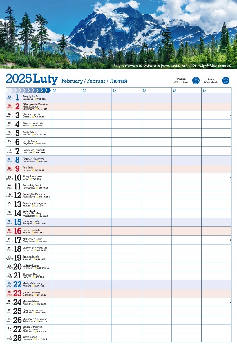 Kalendarz 2025 PLANER ścienny do notatek ORGANIZER - Książki
