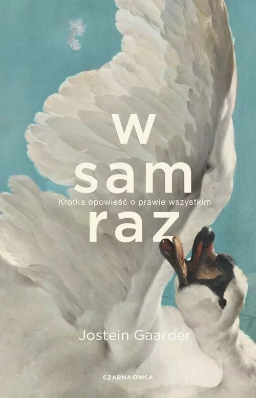 W sam raz. Krótka opowieść o prawie wszystkim - Książki