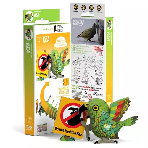 Papuga Kea Eugy. Eko Układanka 3D - Gry