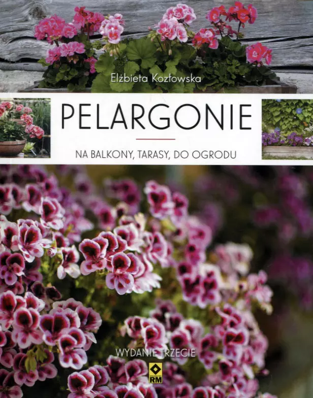 Pelargonie na balkony, tarasy i do ogrodu - Książki