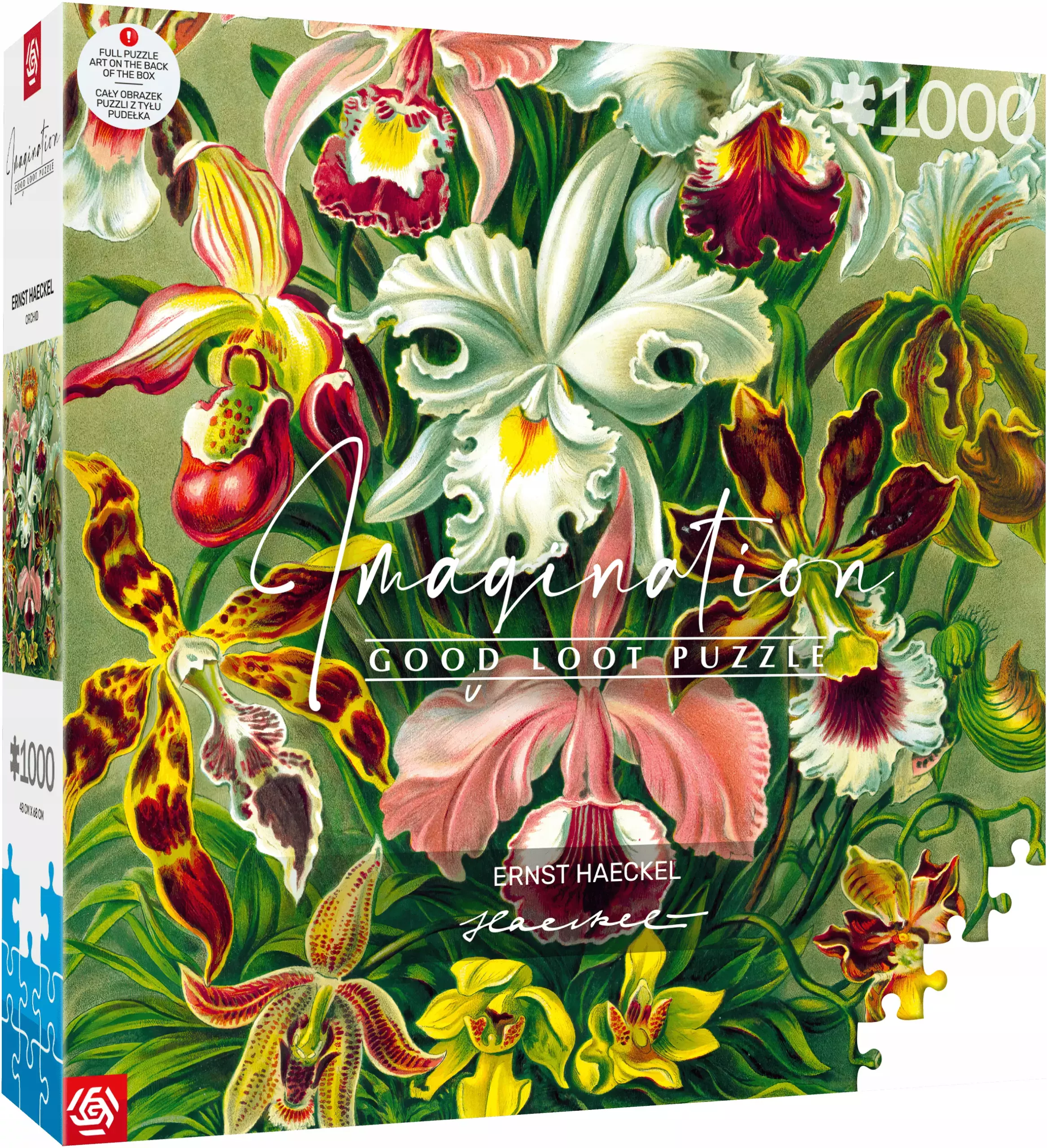 Puzzle Good Loot Imagination 1000 elementów Ernst Haeckel Orchidea 5908305247531 - Puzzle