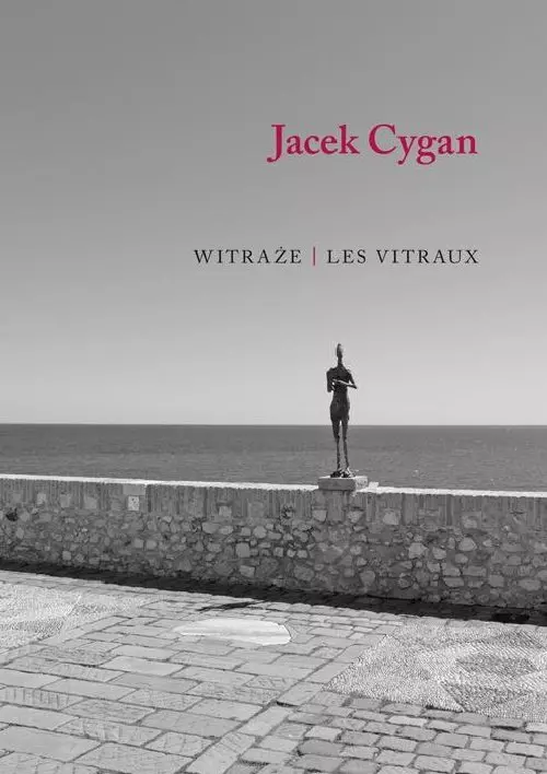 Witraże / Les vitraux - Książki