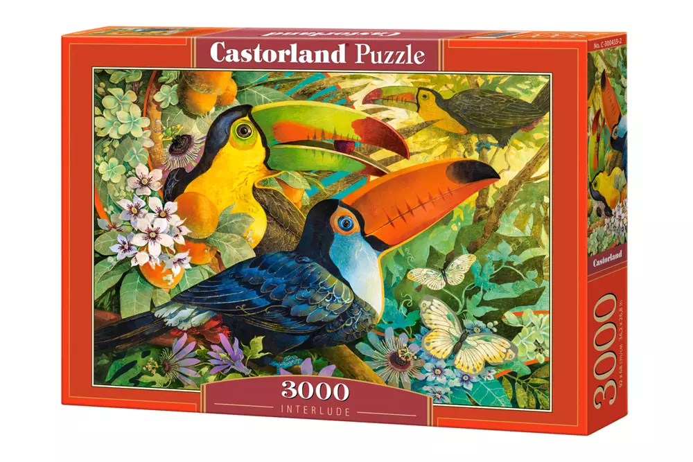 Puzzle 3000 elementów. Interlude - Puzzle
