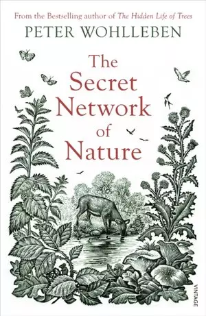 The Secret Network of Nature - Książki