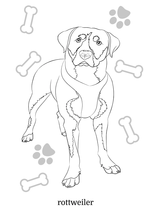 Maluszkowe malowanie. Psy rasowe - Książki