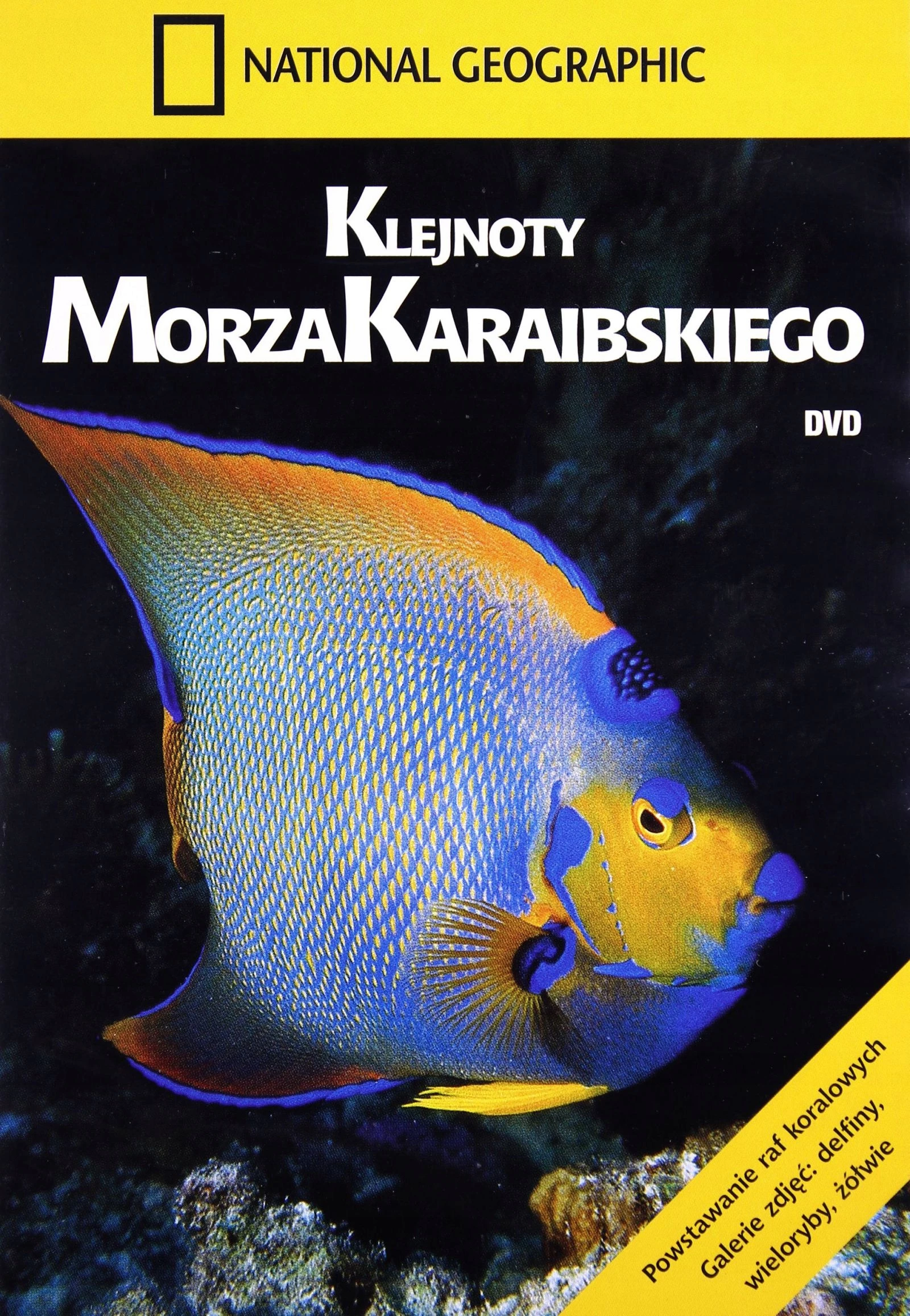 Klejnoty Morza Karaibskiego (DVD) - Filmy
