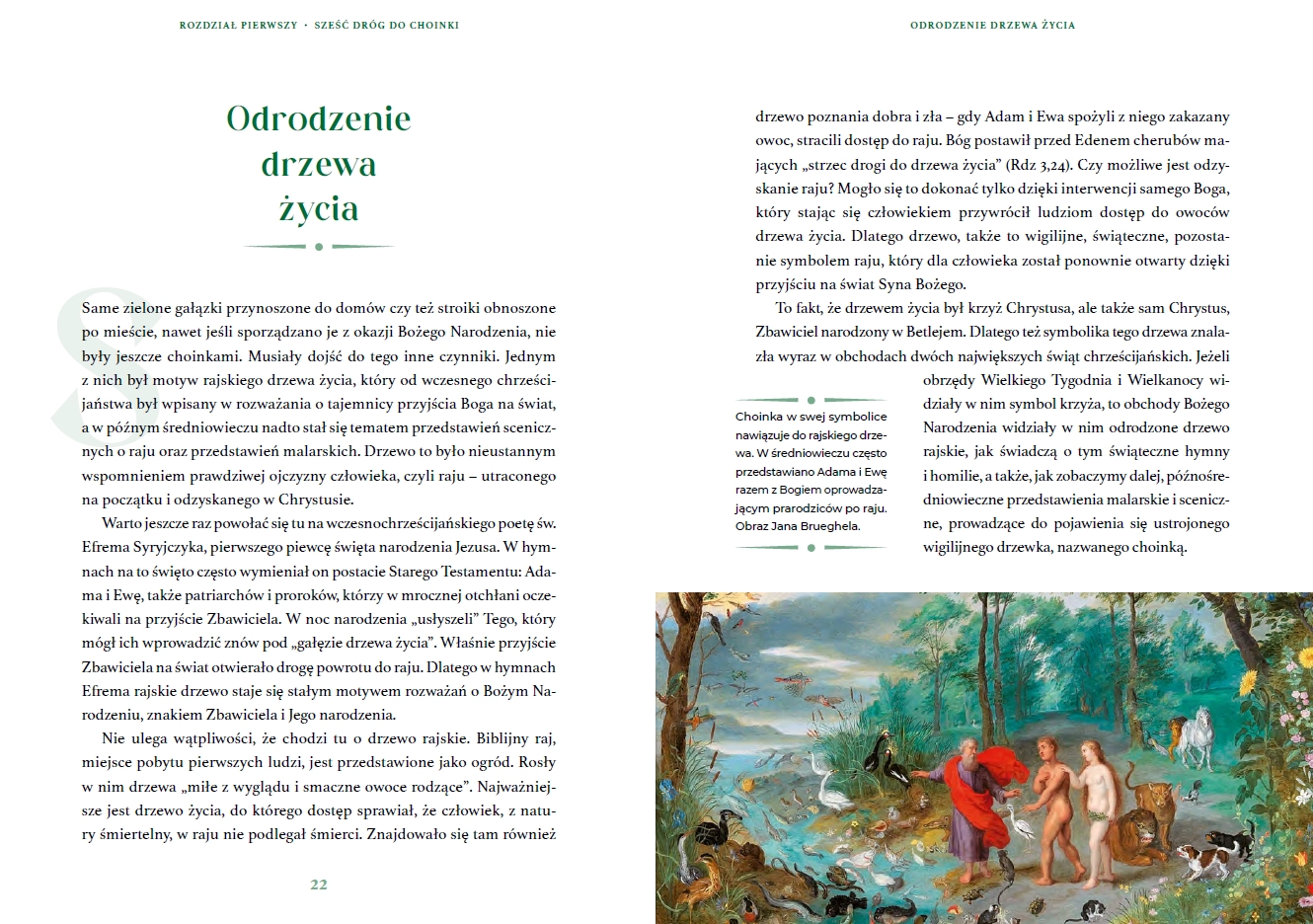 Choinka. 2000 lat tradycji Bożego Narodzenia - Książki