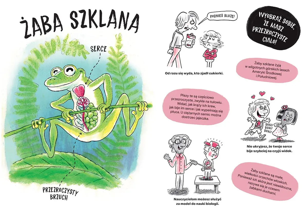 Zwierzaki cwaniaki. Akademia Mądrego Dziecka. Chcę wiedzieć - Książki