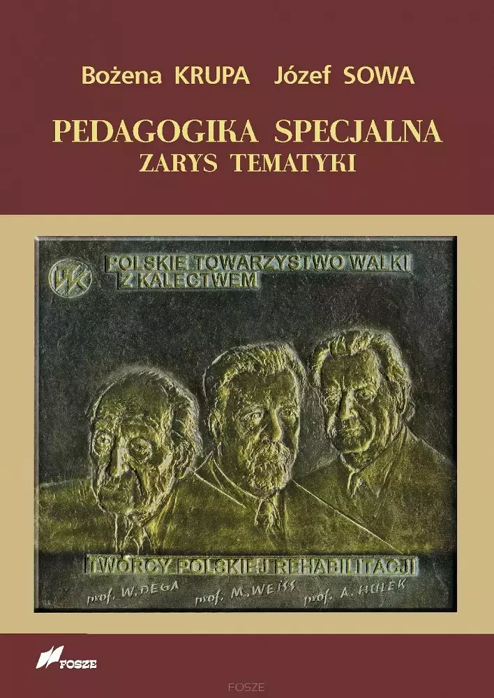 Pedagogika specjalna. Zarys tematyki - Książki
