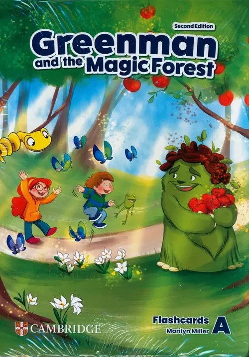 Greenman and the Magic Forest Level A Flashcards - Książki