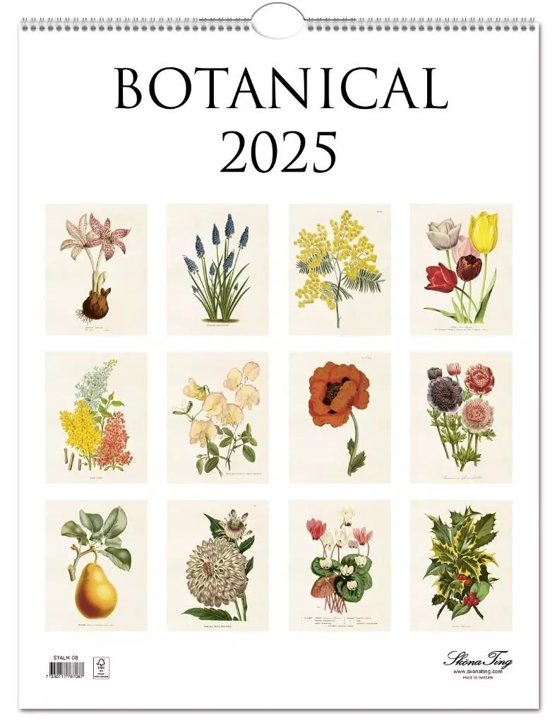Kalendarz 2025 ścienny Botanika rośliny natura - Książki