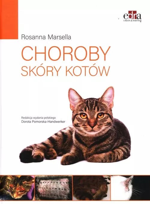 Choroby skóry kotów - Książki