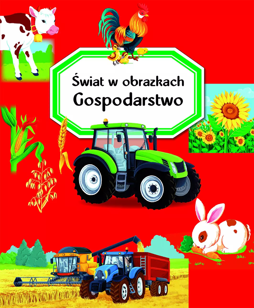 Świat w obrazkach. Gospodarstwo - Książki