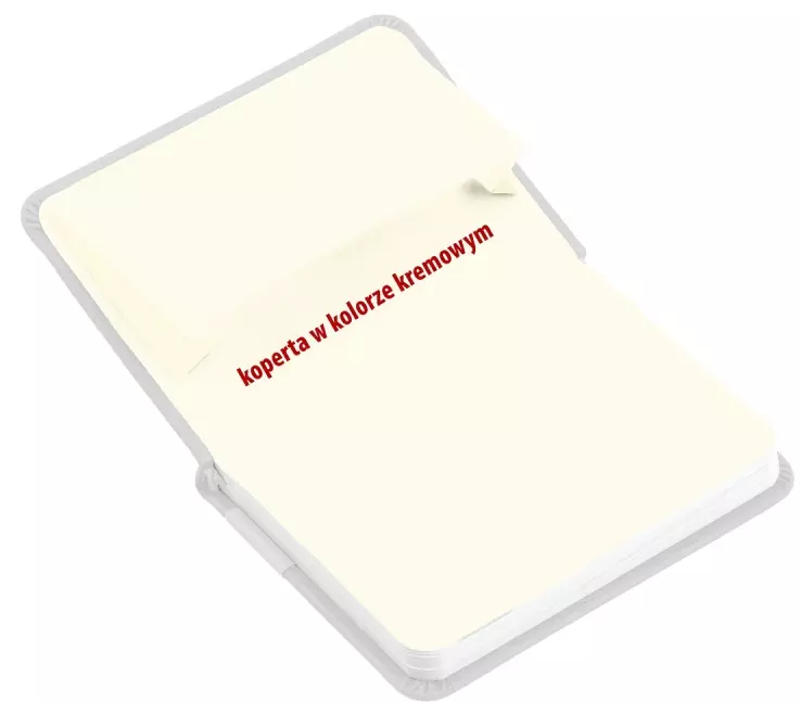 Kalendarz Pedagoga A5 2025-2026 Salsa, granatowy - Książki