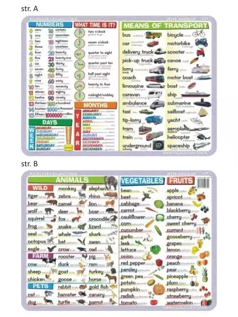 Podkładka edu. 039 - Numbers, time, calendar... - Papiernicze i szkolne