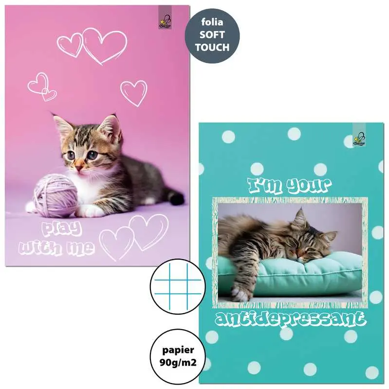 Zeszyt A4 32k. kratka 90g BF Cats, Bee-Bee - Papiernicze i szkolne