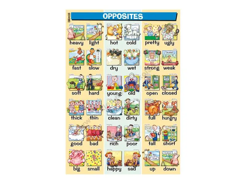 Plansza edukacyjna Angielski. Opposites - Książki