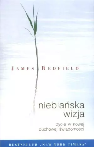 Niebiańska wizja. Życie w nowej świadomości duchowej - Książki