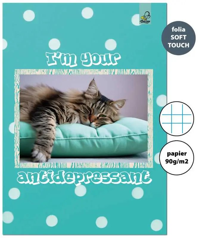 Zeszyt A4 32k. kratka 90g BF Cats, Bee-Bee - Papiernicze i szkolne