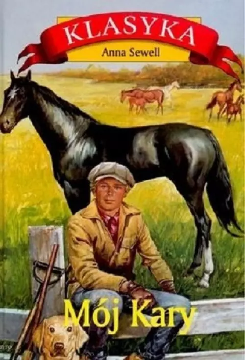 Mój Kary - Książki