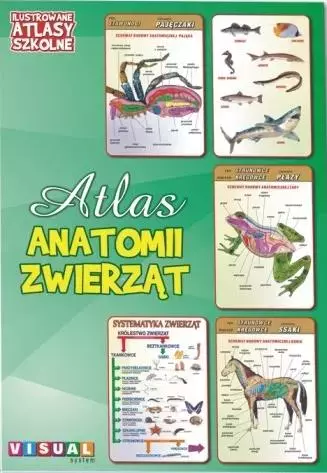 Ilustrowany atlas szkolny. Atlas anatomii zwierząt - Książki