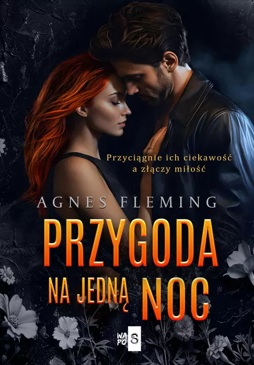 Przygoda na jedną noc - Książki