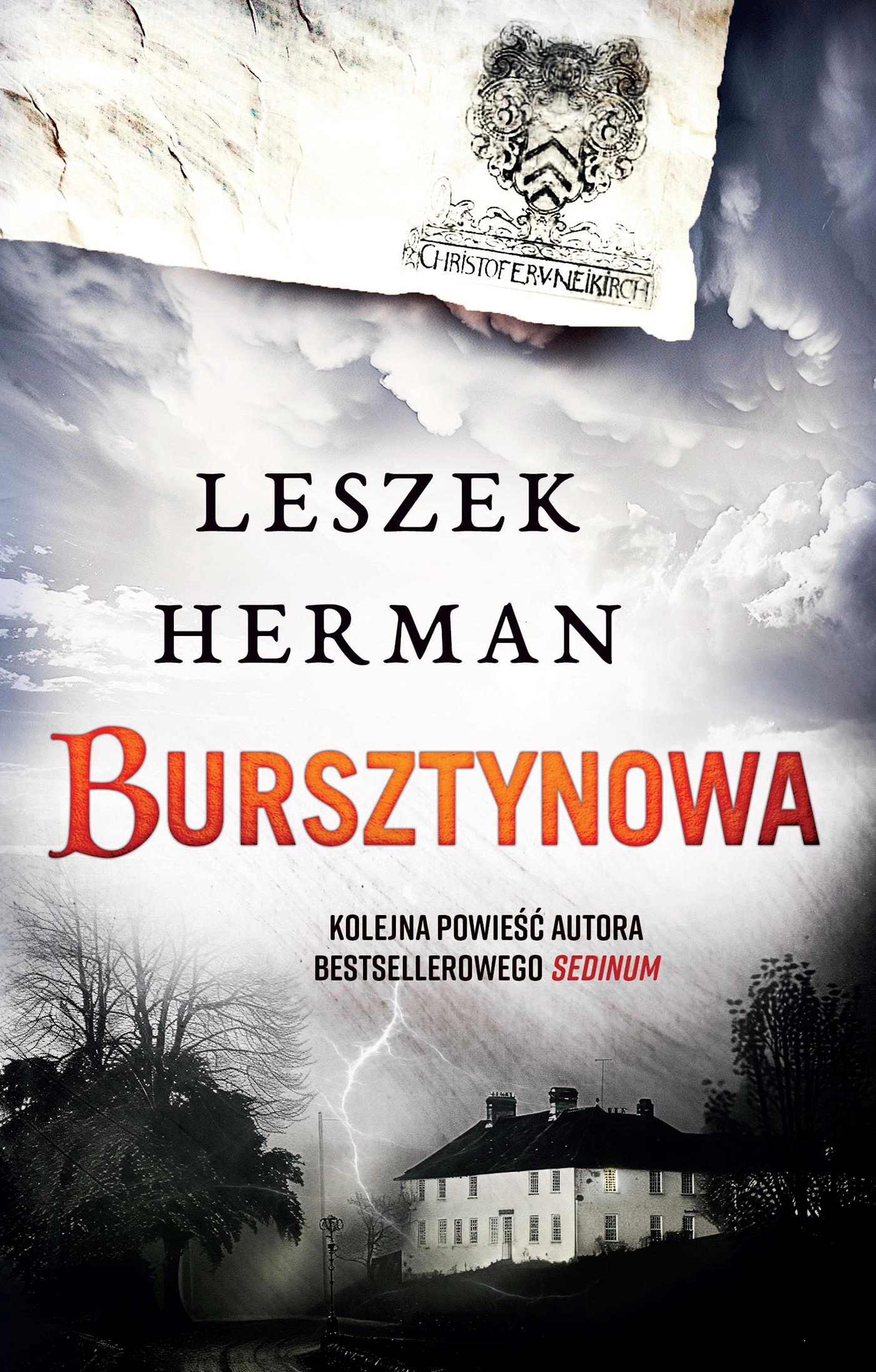 Bursztynowa - Książki