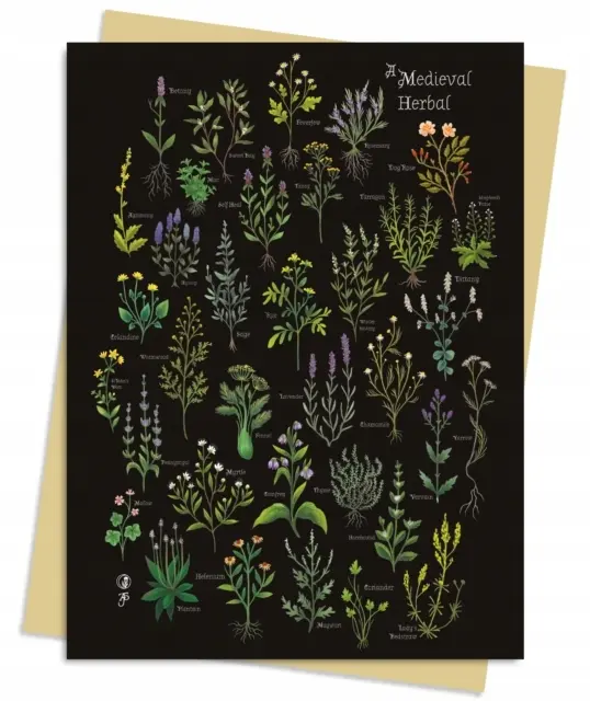 Anna Stead: A Medieval Herbal Greeting Card Pack: Pack of 6 - Książki