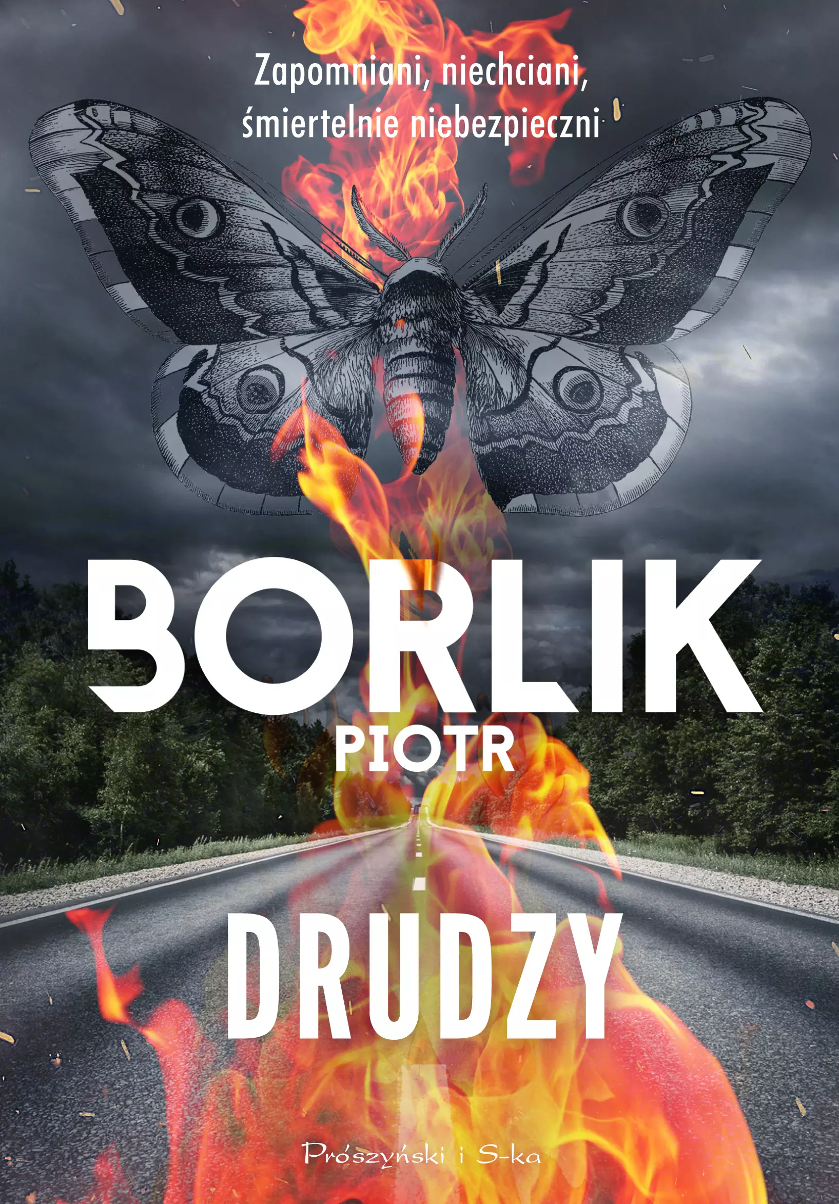 Drudzy - Książki