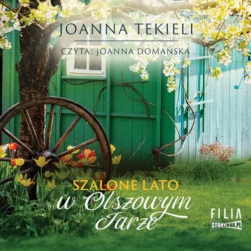 Szalone lato w Olszowym Jarze. Audiobook - Audiobooki