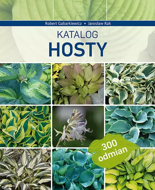 Katalog hosty - Książki
