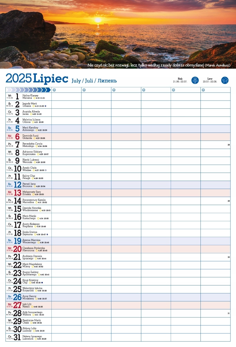 Kalendarz 2025 PLANER ścienny do notatek ORGANIZER - Książki