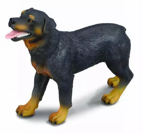 Pies rasy rottweiler L - Książki