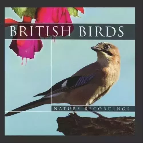 British Birds CD - Książki