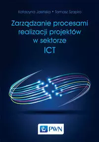 Zarządzanie procesami realizacji projektów w sektorze ICT - Książki