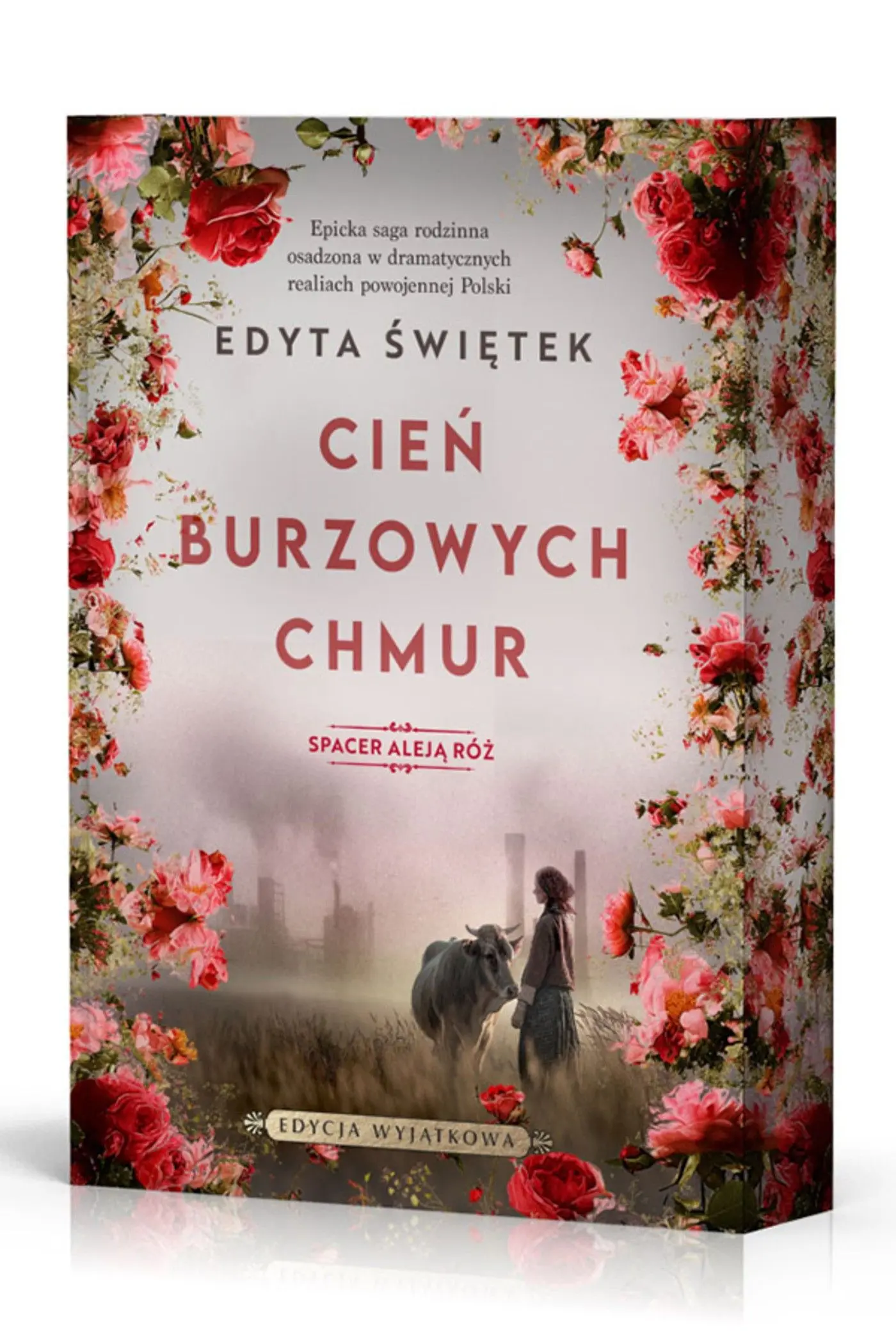 Cień burzowych chmur (barwione brzegi) - Książki